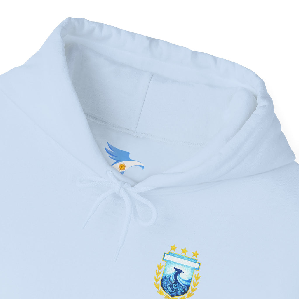 Messi #10 Argentina Light Blue Hoodie — Soccer Jersey Style Pullover