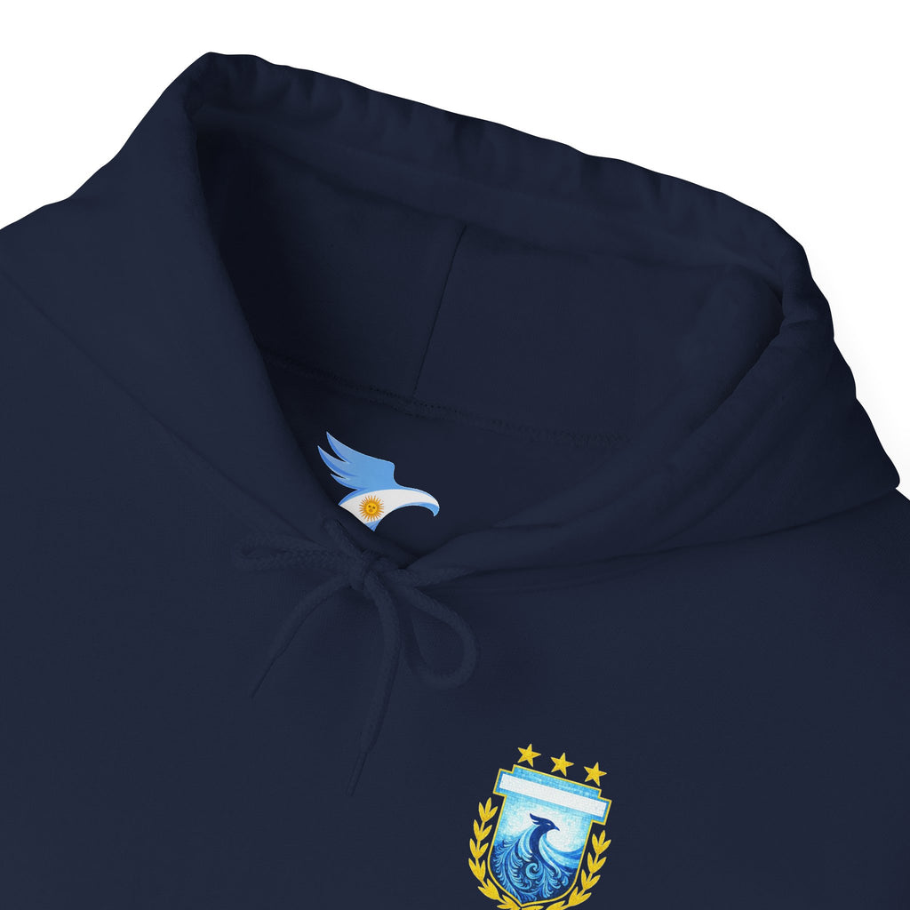 Messi #10 Argentina Light Blue Hoodie — Soccer Jersey Style Pullover