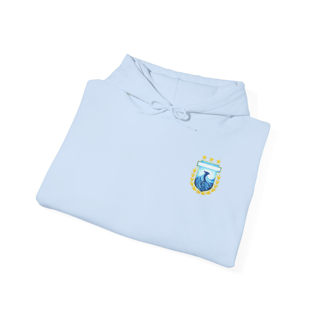 Messi #10 Argentina Light Blue Hoodie — Soccer Jersey Style Pullover