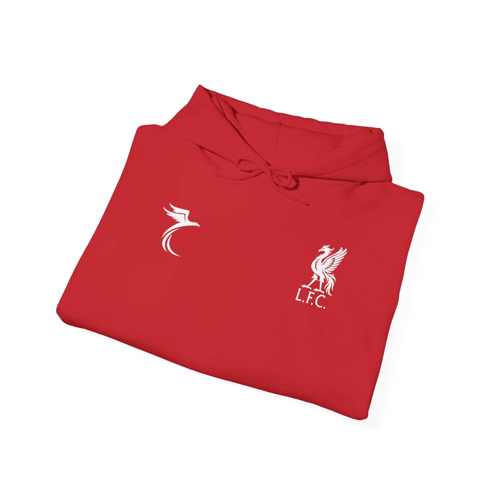 Liverpool Mac Allister #10 Hoodie | Retro Number Graphic