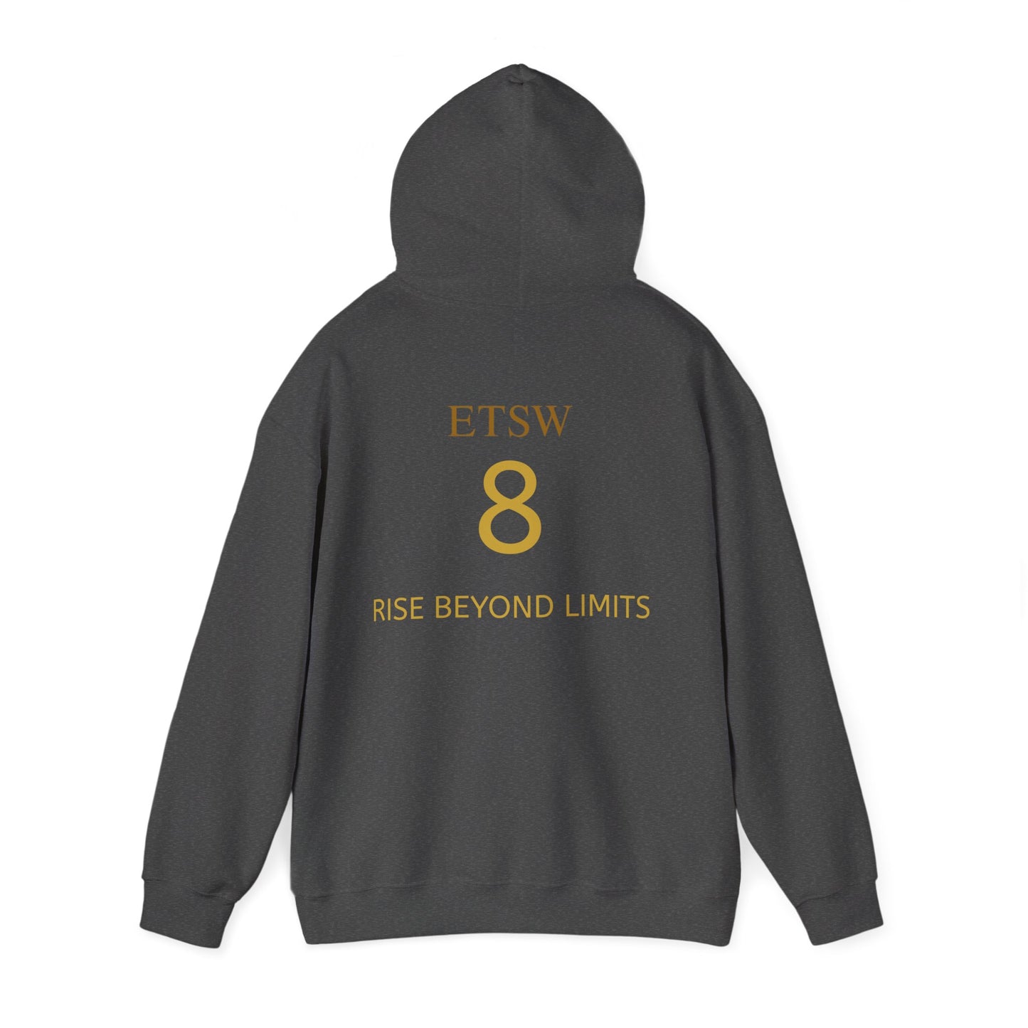 Rise Beyond Limits hoodie | Minimal gold crescent logo sweatshirt
