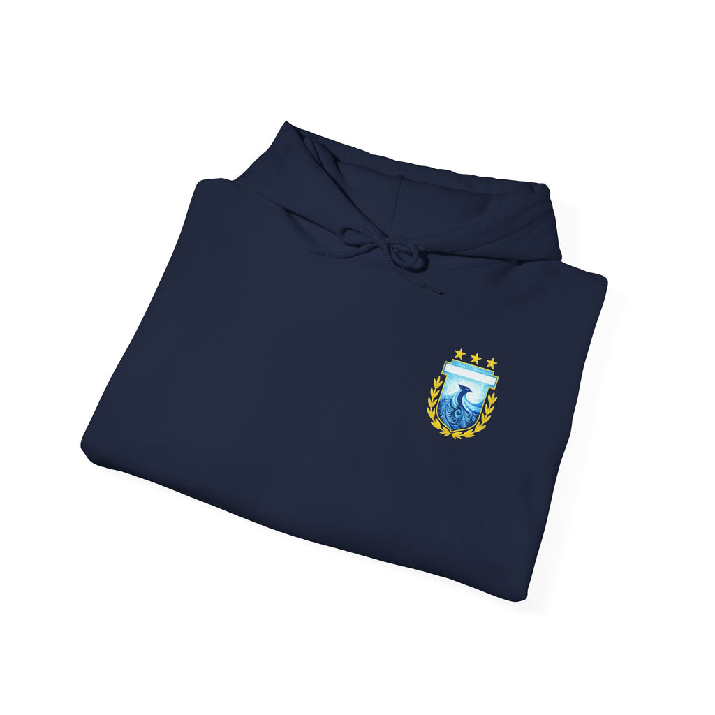 Messi #10 Argentina Light Blue Hoodie — Soccer Jersey Style Pullover