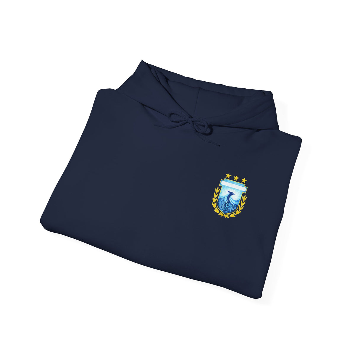 Messi #10 Argentina Light Blue Hoodie — Soccer Jersey Style Pullover